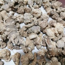 野生化石草多少钱一斤
