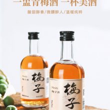 梅子酒8vol果酒贴牌批发果酒oem代加工