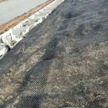 河道排水用水土保护毯河道护坡边坡防护使用三维水土保护毯