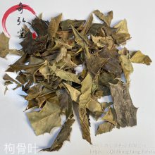 中药材枸骨叶功劳叶羊角刺老鼠刺一公斤起售