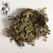 中药材石长生猪毛七水猪毛七猪鬃草猪毛脚筋草品质可靠