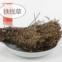 野生铁线草批发价格蟋蟀草的功效和配方