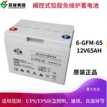 p늳6-GFM-65 12V65AHֱ 늹 UPS/EPSԴ