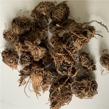 中药材蛇头草野生产地大货药食同源散装无杂质上千种中药材