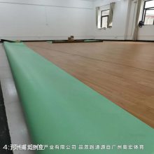 pu球场地面