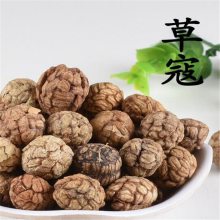 中药材草果图片姜草果仁功能主治草果仁药用价值