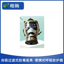 皓驹hjf05自吸过滤式防毒面具型呼吸防护器图片