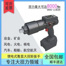ݠ늄ӰBRDC-LSϵйI8000NmŤذ