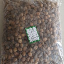 供应中药材双眼龙大叶双眼龙江子猛子树八百力芒子巴豆
