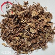 中药材兔耳风 大血筋草 水上红 心肺草 石风丹一件起售包邮