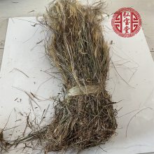 野生金丝草弘宝堂出售金丝草的功效和作用