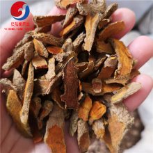 苦李根是什么苦李根别名哪里有卖