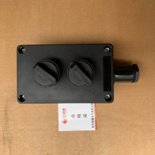 明装双联单控三防开关250v10aip65