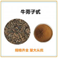 【牛蒡子甙20 牛蒡子提取物 牛蒡子粉,牛蒡子浸膏,包邮图片】