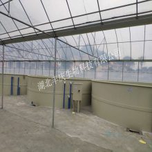 工厂化pp孵化池养鱼养虾孵化桶