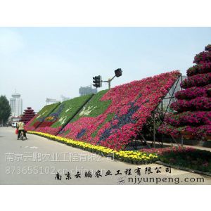 供应垂直绿化,立体花坛