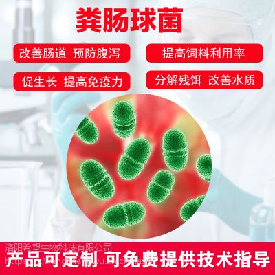 希望生物粪肠球菌养殖饲料添加剂