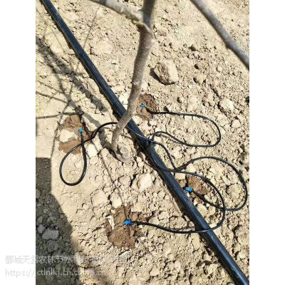 大棚温室滴灌滴箭稳流滴头滴灌设备直弯滴箭套组果园滴灌滴剑滴管