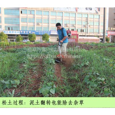 江西背负式除草松土机 富兴微型果园除草机哪里有卖