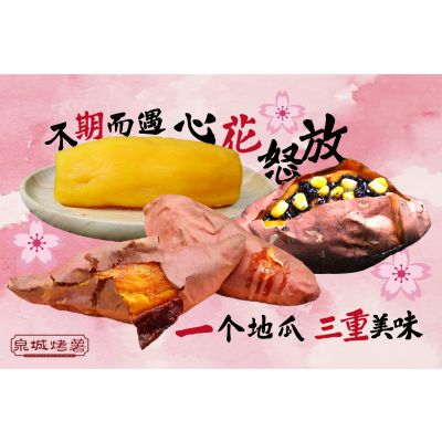 烤地瓜加盟哪家好
