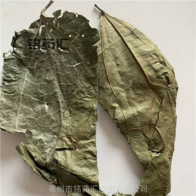中药材野生破布叶蓑衣子麻布叶烂布渣布包木破布树薢宝叶