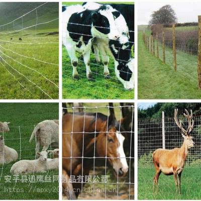 【草场畜牧养殖围栏网 牧区草场围栏网厂家 呼和浩特草场圈牛围网 迅