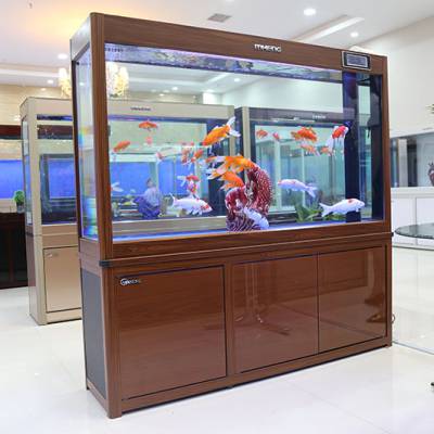 焦作鱼缸来名亨水族成品超白玻璃鱼缸定制12米生态水族箱