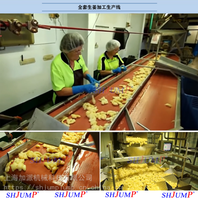 生姜净菜加工设备 生姜榨汁机 生姜汁饮料加工设备 生姜粉加工机械