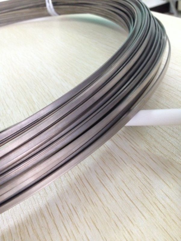 供应宝鸡钛丝苹果扁丝厂家