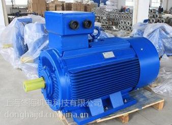 Ӧ200KW ϺYX3(YX3-315L2-2-200KW)