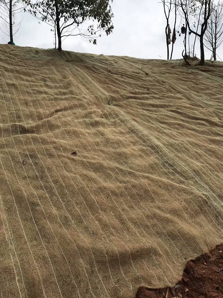 植草绿化护坡生态毯边坡修复椰丝毯植物纤维毯抗冲生物毯