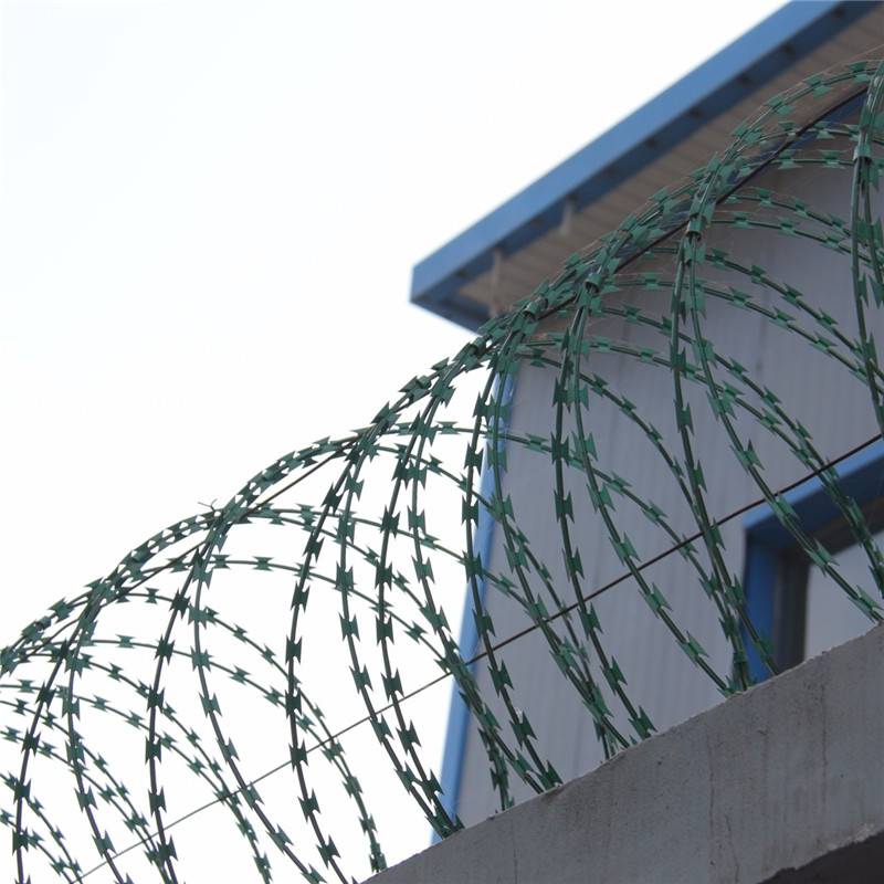 刺钢丝浸塑刺绳刺绳柱图片