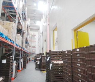 亮豹防霉复合隔离漆墙面漆 亮豹防霉复合隔离漆墙面漆