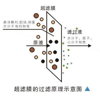 供应家用超滤净水器滤膜10寸超滤膜批发插口超滤膜