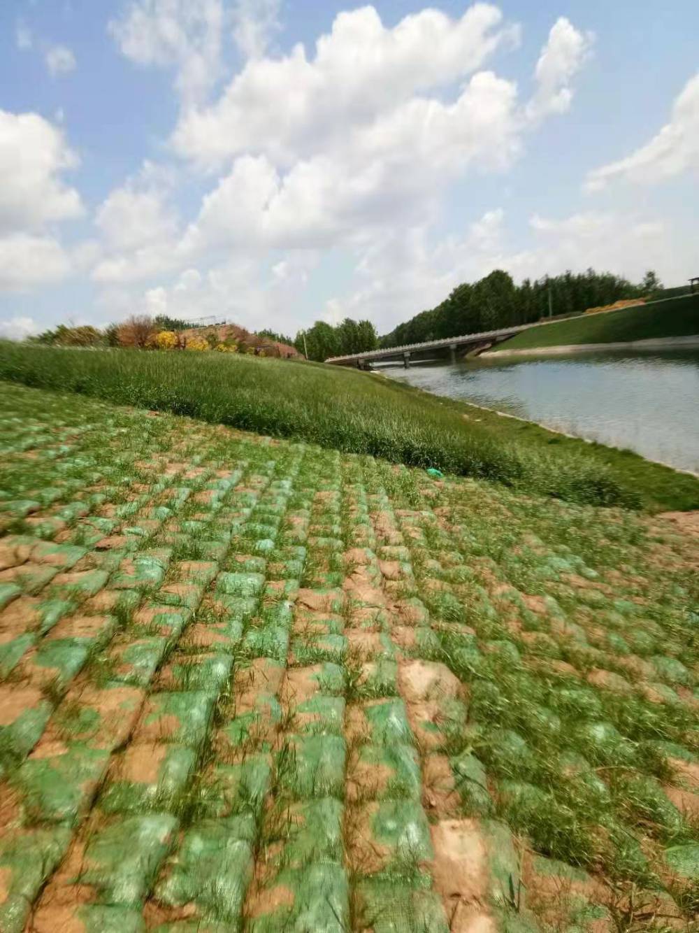 供应延安植生袋山体边坡植草绿化生态袋河流边坡修复生态袋