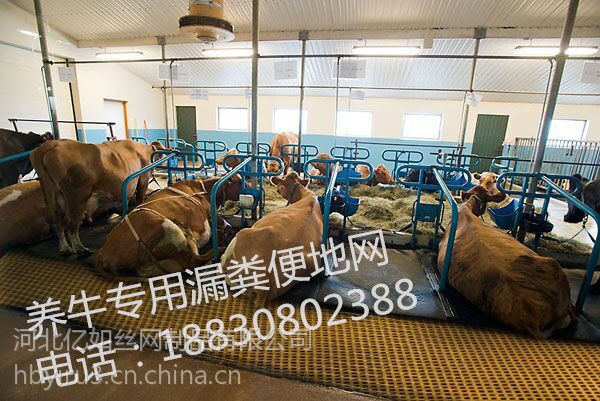 牛舍漏粪便脚踏网牛棚地网养殖漏粪板玻璃钢厂家图片