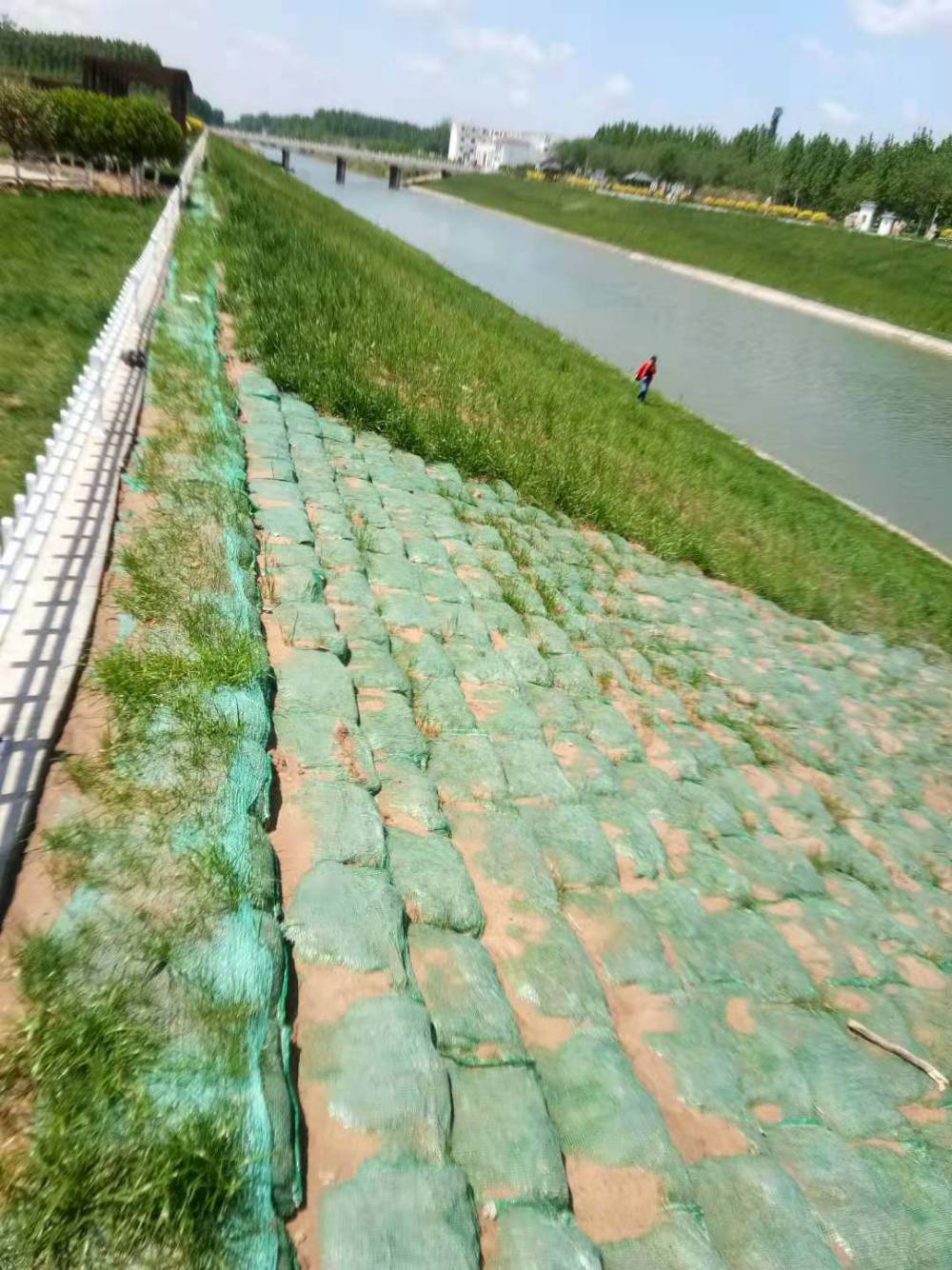 供应聚酯长丝生态袋水库护坡生态袋水库边坡防护生态袋