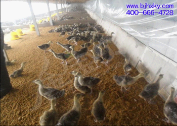 U8国际- U8国际官方网站- U8体育APP下载纯牛奶加盟店排行榜