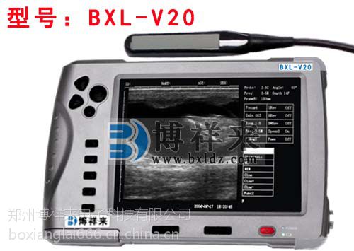 一台猪用的b超多少钱图片