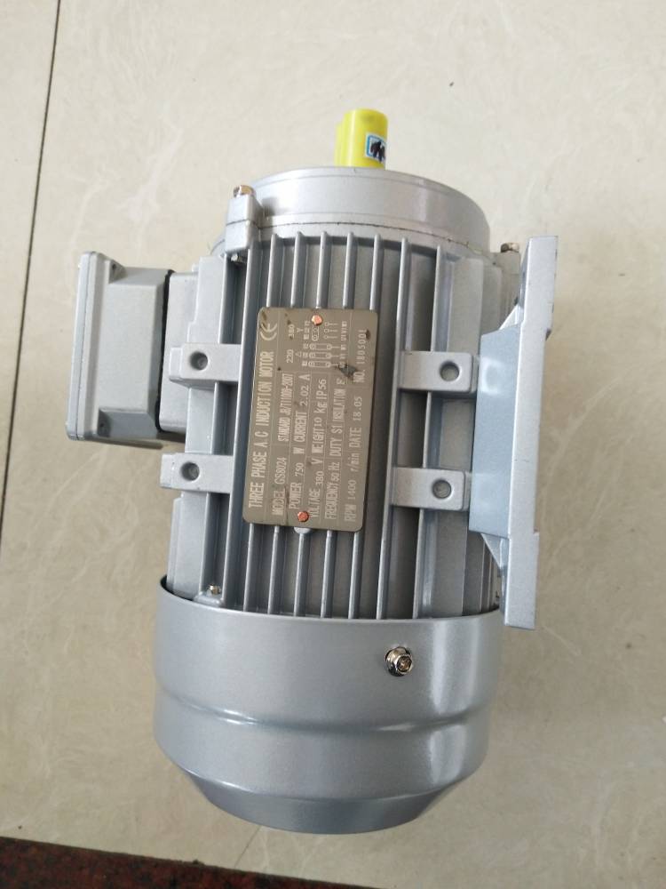三相b14小法兰蓝色三相异步电动机gs8024075kwb14特别供应
