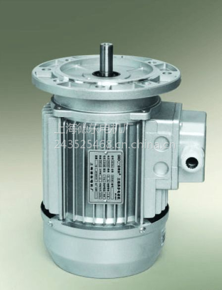 上海德东电机厂家直供小功率电动机 YS7124 B5 0.37KW