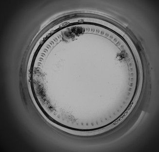 供应视觉检测玻璃瓶缺陷