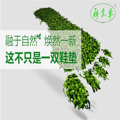 河南祥云农业科技有限公司