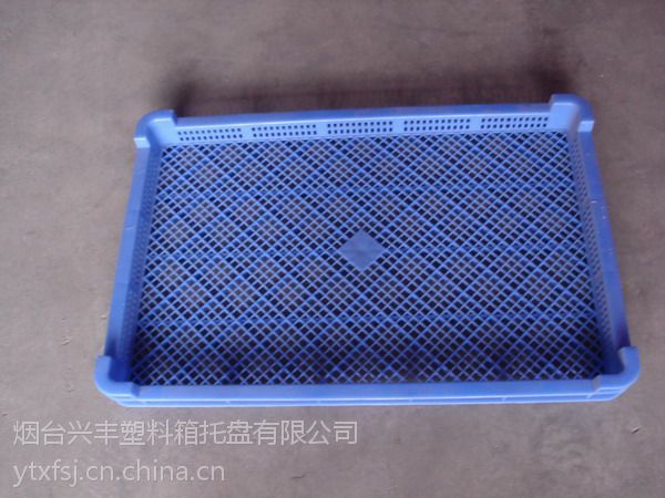 江苏常州塑料烘烤盘|徐州塑料冷冻盘|塑料网盘