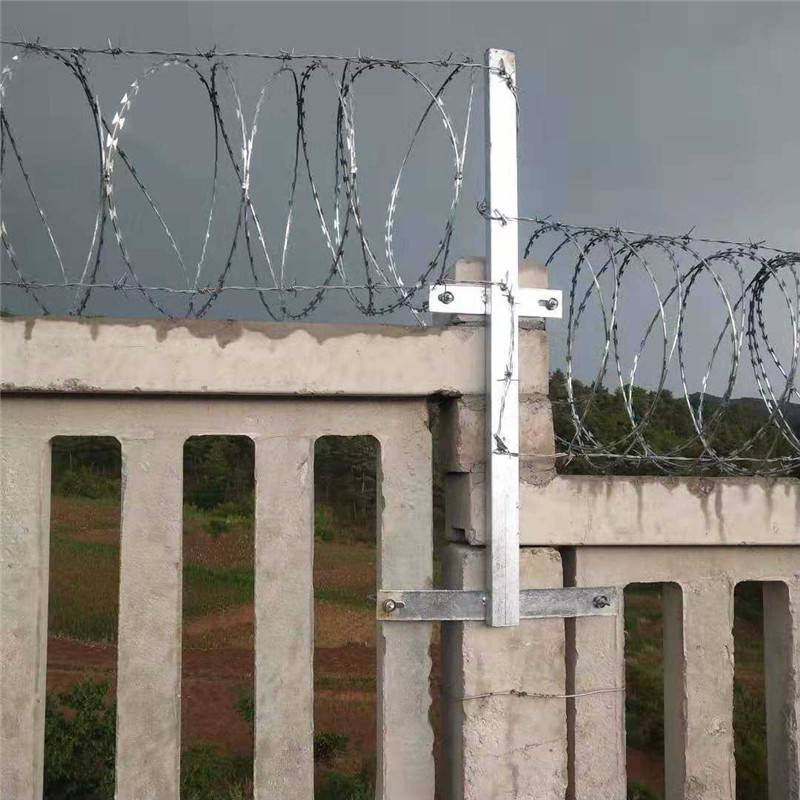 【刺丝滚笼厂家 铁路刺丝滚笼 围墙防盗铁丝网】图片