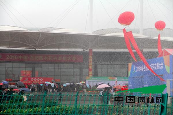 无惧风雨 2016中国合肥苗木花卉交易大会开幕
