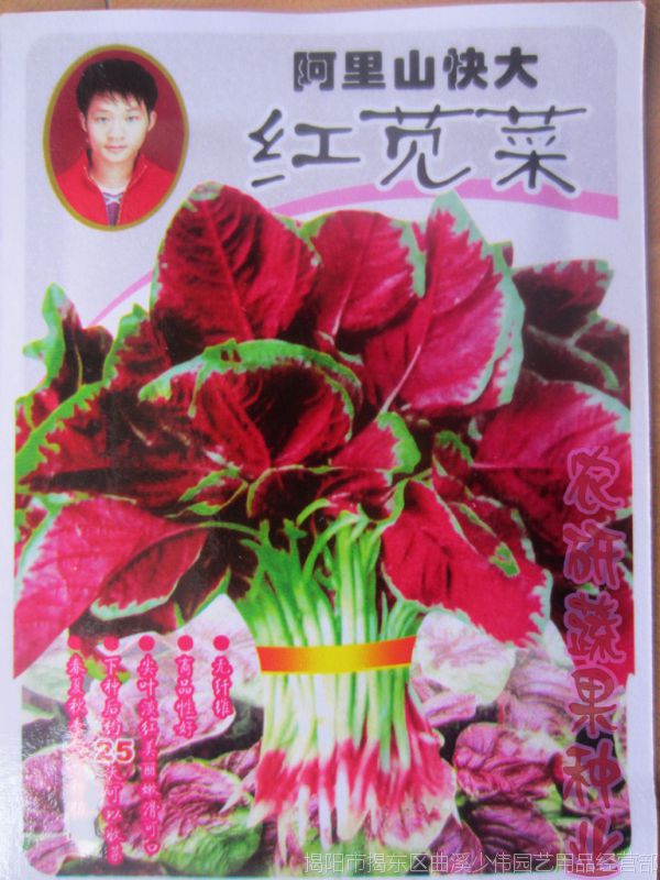 百家乐在线注册网址“树票”变“银票” 全国首笔楠木资产票据在我市落地
