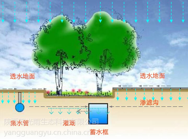 阳光雨市政道路雨水收集利用之雨水净化工艺实现水资源循环利用图片