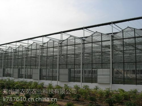 单层浮法玻璃生态采摘园.高科技现代示范农业温室设计建造