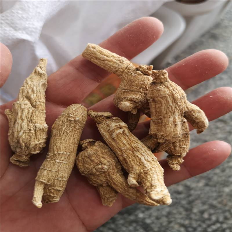 美国花旗参的功效花旗参多少钱一斤价格 中国供应商